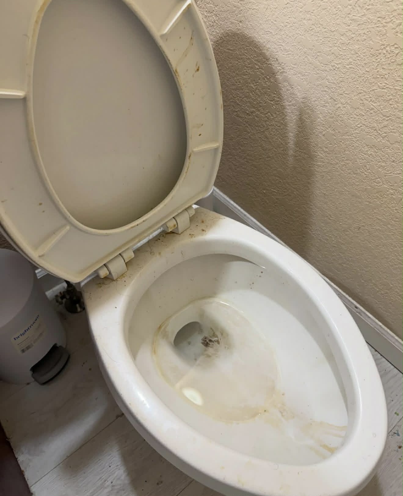 Before bathroom cleaning — Masonville Ontario home